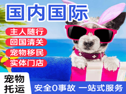 庆阳机场货运国际宠物托运 【国